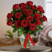 Light of the Heart SALE, Costa Rica, Costa Rica