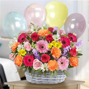 Celebration, Costa Rica, Costa Rica