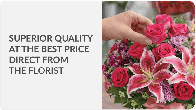 Send to all Costa Rica