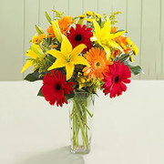 Costa Rica Charm, Costa Rica, Costa Rica