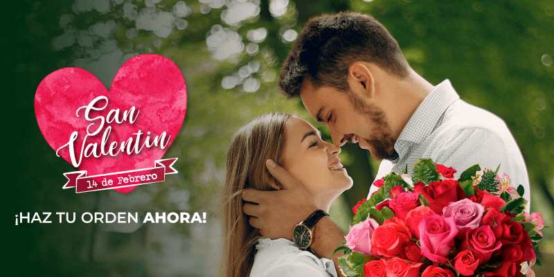 Envio de Flores a Domicilio en Periferia Metropolitana-San Juan de Dios de Desamparados Envio de Flores a Domicilio en Periferia Metropolitana-San Juan de Dios de Desamparados