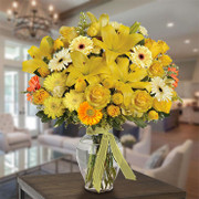 Soleil, Costa Rica, Costa Rica